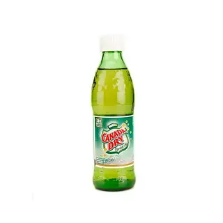 Canada Dry 300ml